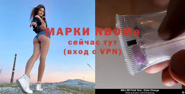 индика Переславль-Залесский