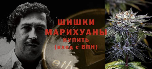 ГАЛЛЮЦИНОГЕННЫЕ ГРИБЫ Абаза