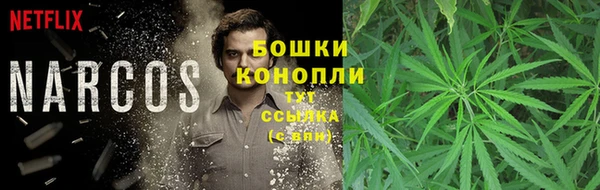 дмт Пестово