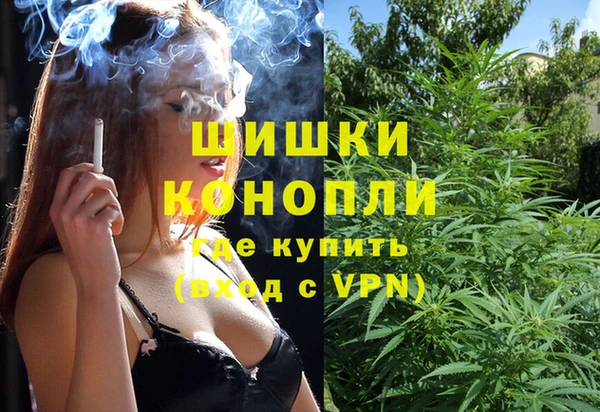 ГАЛЛЮЦИНОГЕННЫЕ ГРИБЫ Абаза