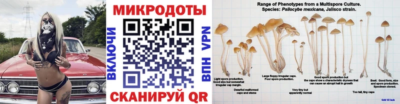 сайты даркнета какой сайт  купить  цена  Кинешма  Галлюциногенные грибы Psilocybine cubensis 